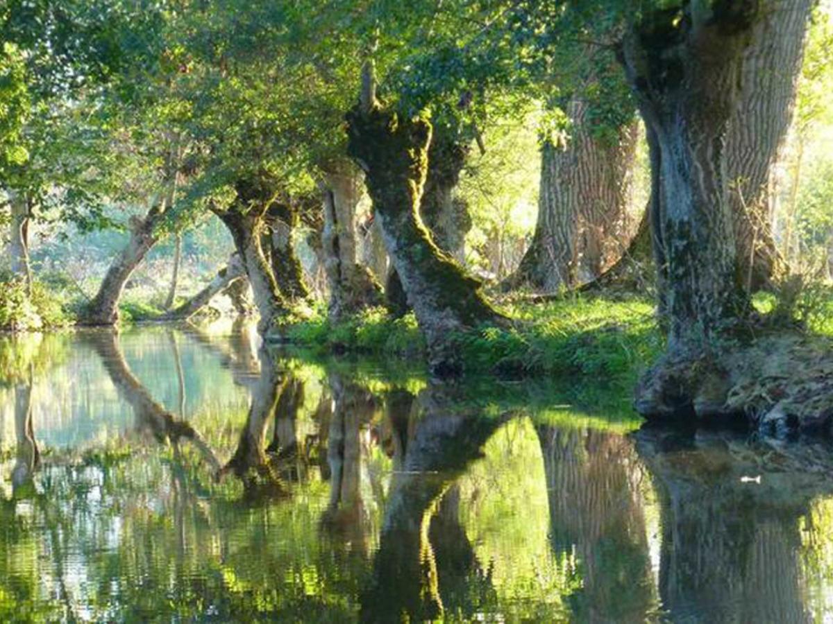 La Laujere Ivie - Gite & Piscine Privative Saint-Hilaire-du-Bois  Екстериор снимка
